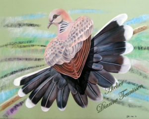 SignatuurAtelierZomertortel_Pastel